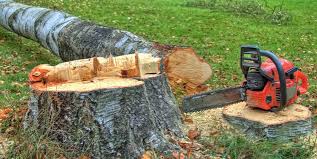 Best Storm Damage Tree Cleanup  in Dixon Lane Meadow Creek, CA